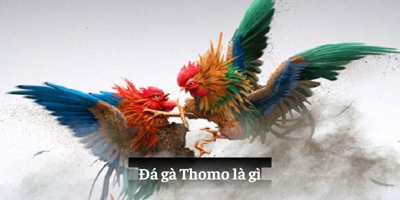 Đá Gà Campuchia 99OK - Nền Tảng Giải Trí Đầy Cuốn Hút Năm 2025 2 Cái nhìn tổng quan về tụ điểm đá gà Campuchia 99OK