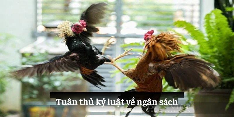Đá Gà Campuchia 99OK - Nền Tảng Giải Trí Đầy Cuốn Hút Năm 2025 4 Sàn chọi gà với độ bảo mật vô cùng cao