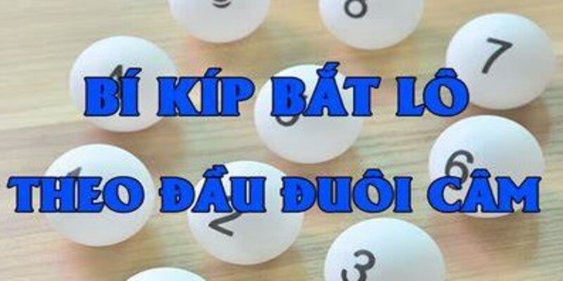 Lô Câm Từ 99OK: Khám Phá Tất Cả Những Điều Bạn Cần Biết 3 Cách xác định lô câm hiệu quả và chính xác nhất